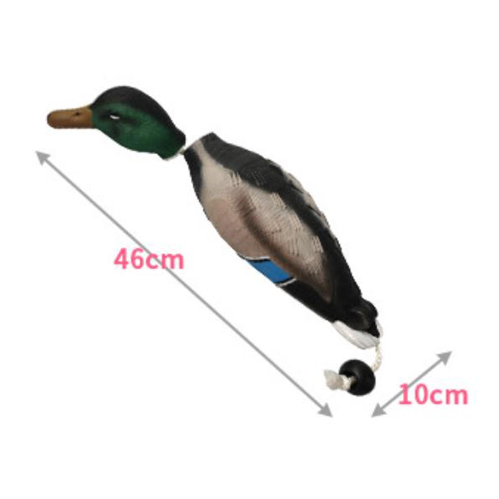 Decoy Duck Plastic - Yeşilbaş Ördek Maketi Simülasyon Plastik Yüzen