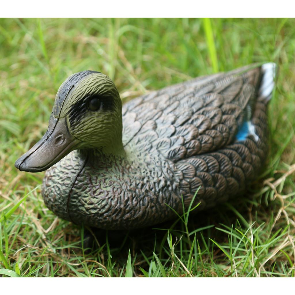 Sahte Kuş Avı Yemi Gerçekçi Ma - Decoy Duck Plastic incelemesi ve fiyatı